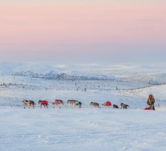 Authentic Holiday Husky Farm Adventure in Finland © Tuomo Vilkkilä